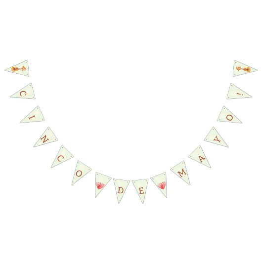 Kleurrijke Fun Cinco de Mayo Vlaggetjes (Alle)