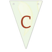 Kleurrijke Fun Cinco de Mayo Vlaggetjes (Tweede vlag)