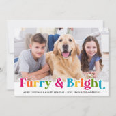 Kleurrijke Furry & Bright Custom Pet Dog Foto Feestdagenkaart (Voorkant)