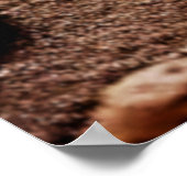 Kleurrijke Gecko Rocks Design Poster (Hoek)