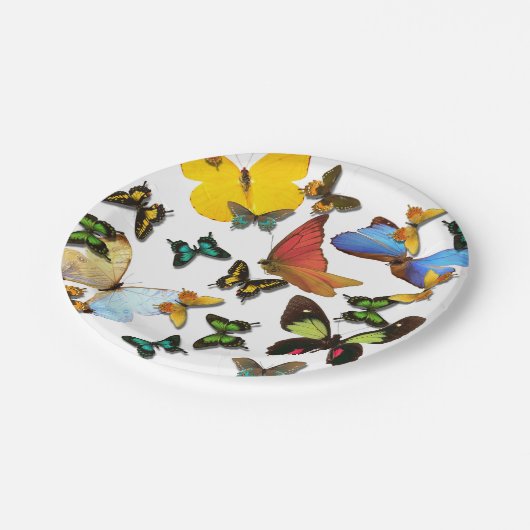 Kleurrijke Geel Blauw Groene Vlinders voor picknic Papieren Bordje (Gekanteld)