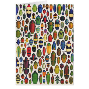 Kleurrijke  geïllustreerde hoeken