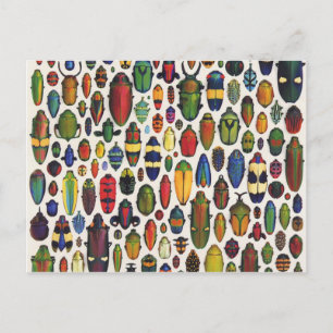 Kleurrijke  geïllustreerde hoeken briefkaart