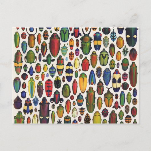 Kleurrijke  geïllustreerde hoeken briefkaart (Voorkant)