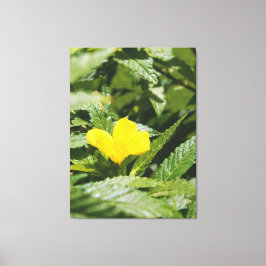 Kleurrijke Gele Bloem Tussen Groene Bladeren Canvas Afdruk