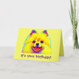 Kleurrijke Gelukkige Verjaardag Pomeranian Kaart