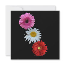 Kleurrijke gemengde bloemendaiziaan plat notitieka