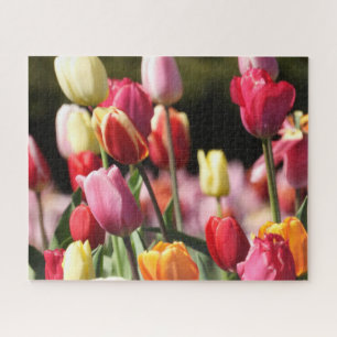 Kleurrijke gemengde tulpen in de tuin legpuzzel
