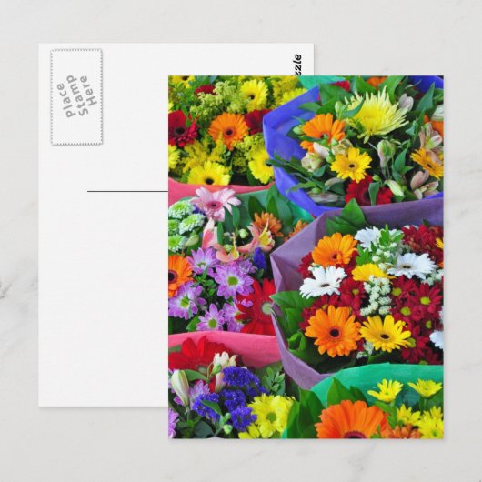 Kleurrijke gerber bloemen print briefkaart (Voorkant / Achterkant)