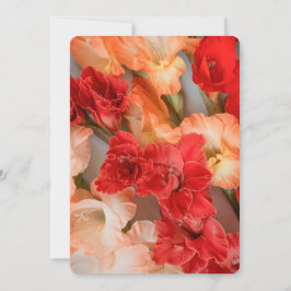 Kleurrijke Gladiolus Bloemen Feestdagenkaart