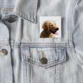 Kleurrijke Golden Retriever Button (In situ)