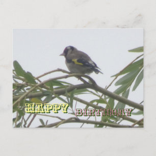 Kleurrijke Goldfinch Happy Birthday Briefkaart
