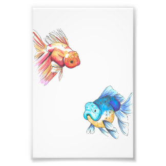 Kleurrijke Goudvis Print Foto Afdruk