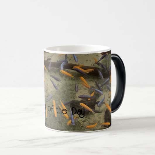 Kleurrijke goudvisvangst magische mok (Voorkant rechts)