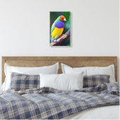 Kleurrijke gouldiaanse vink canvas afdruk (Insitu (Slaapkamer))