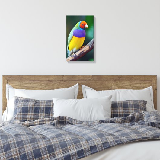 Kleurrijke gouldiaanse vink canvas afdruk (Insitu (Slaapkamer))