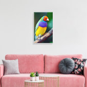 Kleurrijke gouldiaanse vink canvas afdruk (Insitu (Woonkamer))