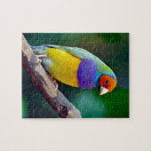 Kleurrijke gouldiaanse vink legpuzzel (Horizontaal)