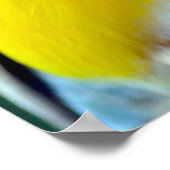 Kleurrijke gouldiaanse vink poster (Hoek)