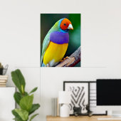 Kleurrijke gouldiaanse vink poster (Thuiskantoor)
