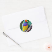 Kleurrijke gouldiaanse vink ronde sticker (Envelop)