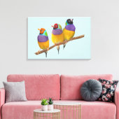 Kleurrijke Gouldian Finches in Pastels Canvas Afdruk (Insitu (Woonkamer))