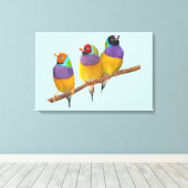 Kleurrijke Gouldian Finches in Pastels Canvas Afdruk (Insitu (Houten vloer))