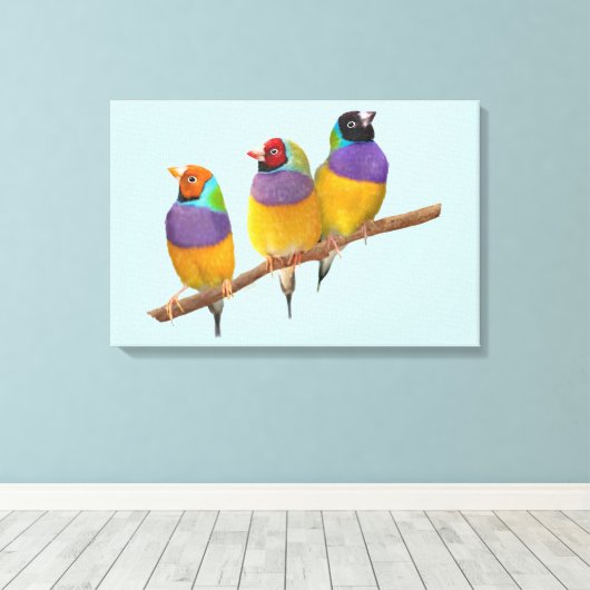 Kleurrijke Gouldian Finches in Pastels Canvas Afdruk (Insitu (Houten vloer))