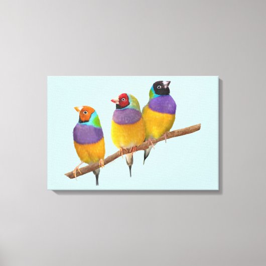 Kleurrijke Gouldian Finches in Pastels Canvas Afdruk (Voorkant)