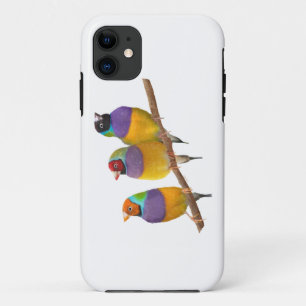 Kleurrijke Gouldian Finches in Pastels Case-Mate iPhone Case