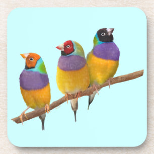 Kleurrijke Gouldian Finches in Pastels Drankjes Onderzetter