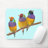 Kleurrijke Gouldian Finches in Pastels Muismat (Met muis)