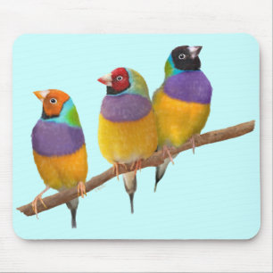Kleurrijke Gouldian Finches in Pastels Muismat