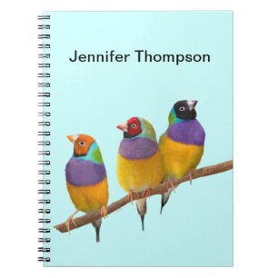 Kleurrijke Gouldian Finches in Pastels Notitieboek