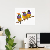 Kleurrijke Gouldian Finches in Pastels Poster (Thuiskantoor)