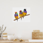 Kleurrijke Gouldian Finches in Pastels Poster (Keuken)