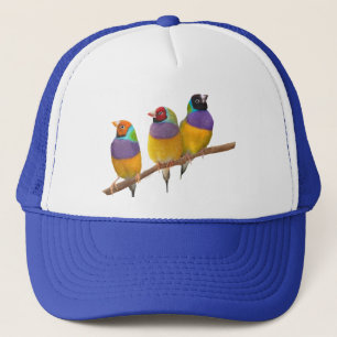 Kleurrijke Gouldian Finches in Pastels Trucker Pet