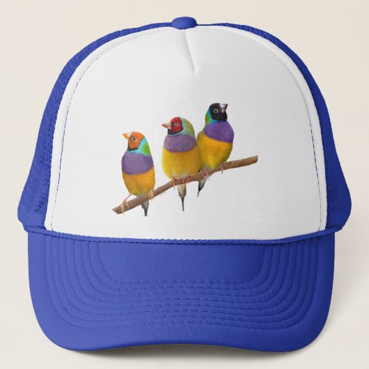 Kleurrijke Gouldian Finches in Pastels Trucker Pet (Voorkant)