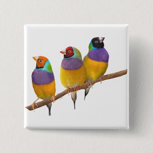Kleurrijke Gouldian Finches in Pastels Vierkante Button 5,1 Cm (Voorkant)