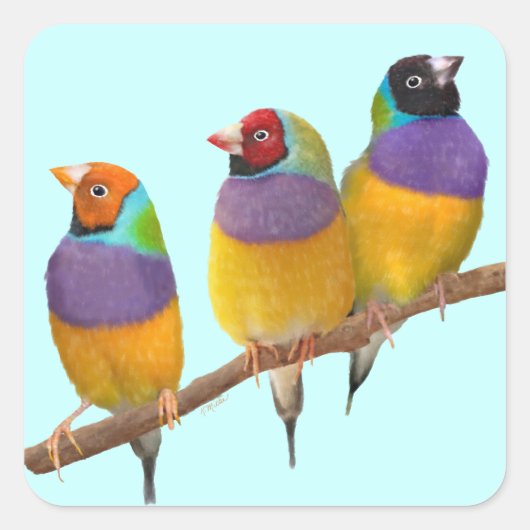 Kleurrijke Gouldian Finches in Pastels Vierkante Sticker (Voorkant)