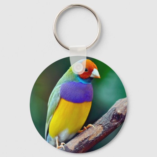Kleurrijke gouldianfink sleutelhanger (Voorkant)