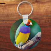 Kleurrijke gouldianfink sleutelhanger (Voorkant)