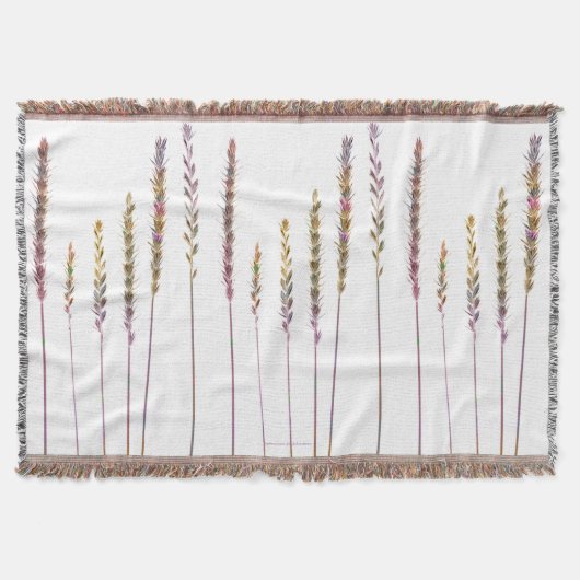 Kleurrijke grassen deken (Voorkant)