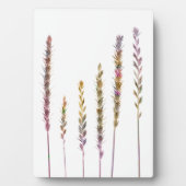 Kleurrijke grassen fotoplaat (voorkant)