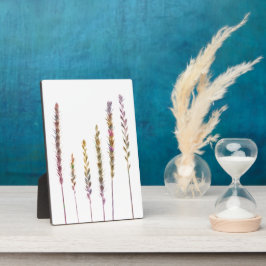 Kleurrijke grassen fotoplaat