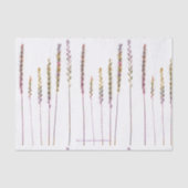 Kleurrijke grassen tissuepapier (Voorkant)