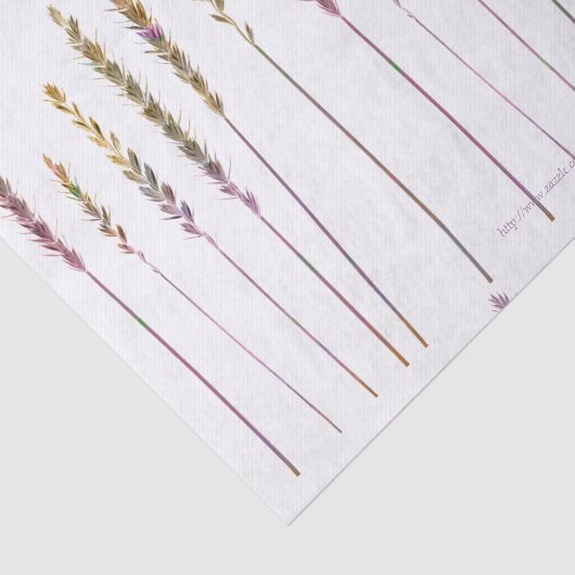 Kleurrijke grassen tissuepapier (Detail)