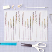 Kleurrijke grassen tissuepapier (Craft)