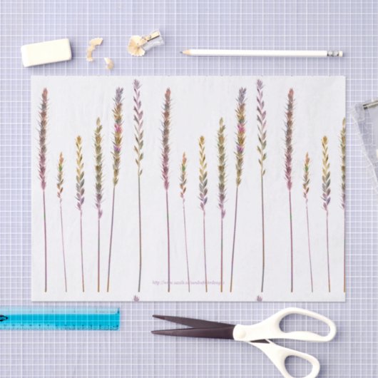 Kleurrijke grassen tissuepapier (Craft)