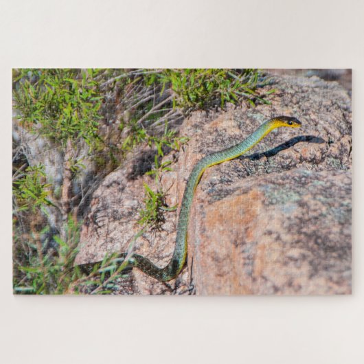 Kleurrijke groene boomslang Australië, 1014 stuks Legpuzzel (Horizontaal)